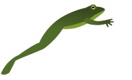 Jump-Start Frog